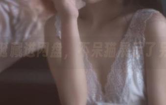 把圣诞藏进网盘，不呆猫展示了另一面