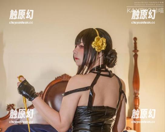 魅魔图包大集合！咔喵KANEKO的资源就像疯狂的糖果店！