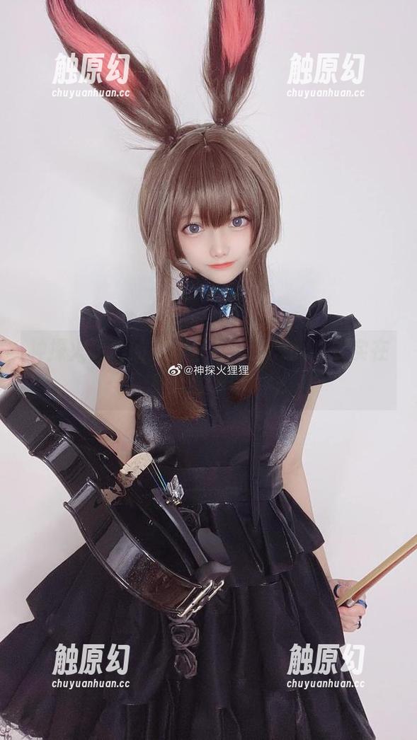 神探火狸狸的美图合集，夏天的鸣蝉实在是太会了吧！